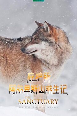 庇护所阿尔卑斯山求生记