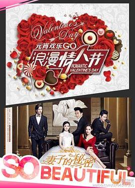 妻子的秘密2014