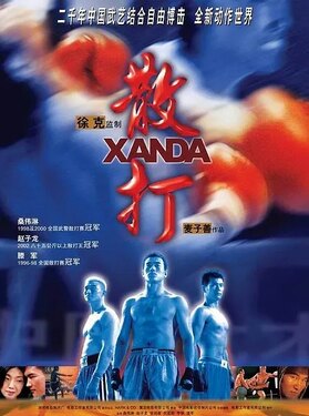 散打2004