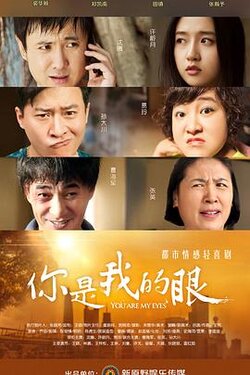 你是我的眼2015