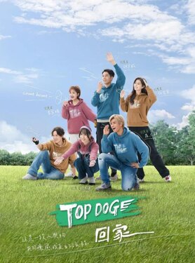 TOP DOG