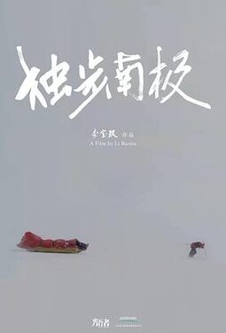 光语者独步南极