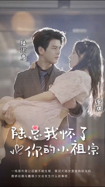 陆总，我怀了你的小祖宗